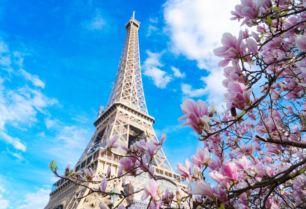Tour-opérateurs : une solution d’hébergement 4 étoiles stratégique entre Paris et Versailles
